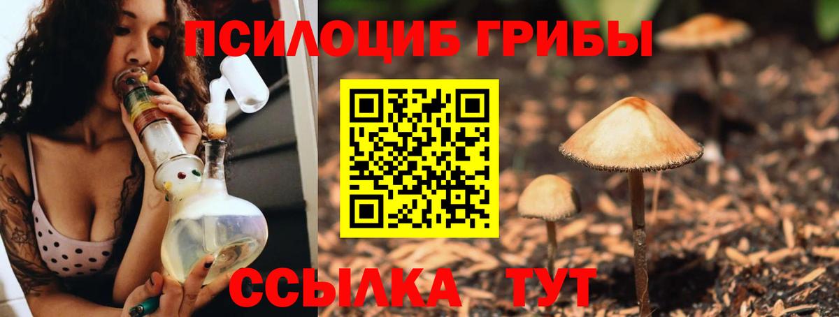 Галлюциногенные грибы Magic Shrooms Прокопьевск
