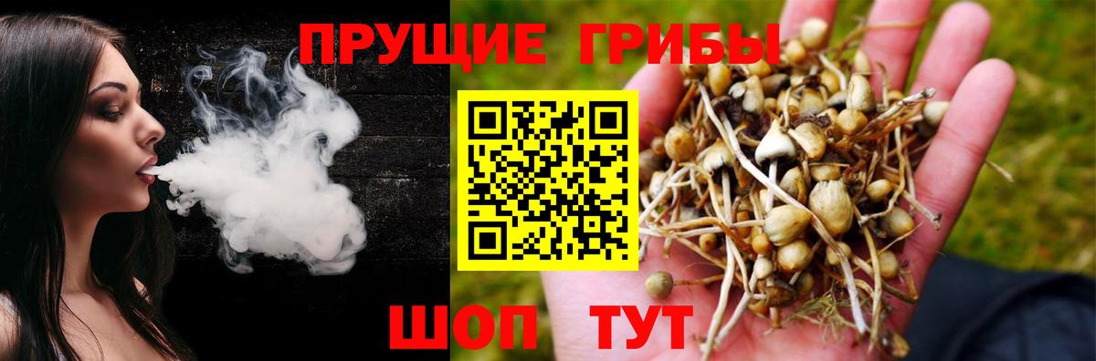 Галлюциногенные грибы мицелий  Вход с VPN  Прокопьевск 